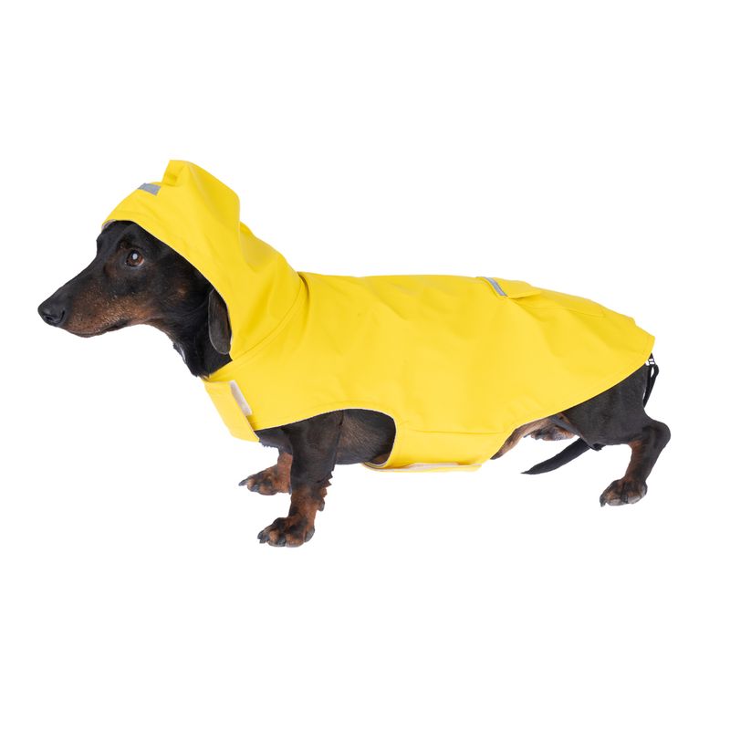 zooplus Basics Raincoat approx. 30cm Back Length