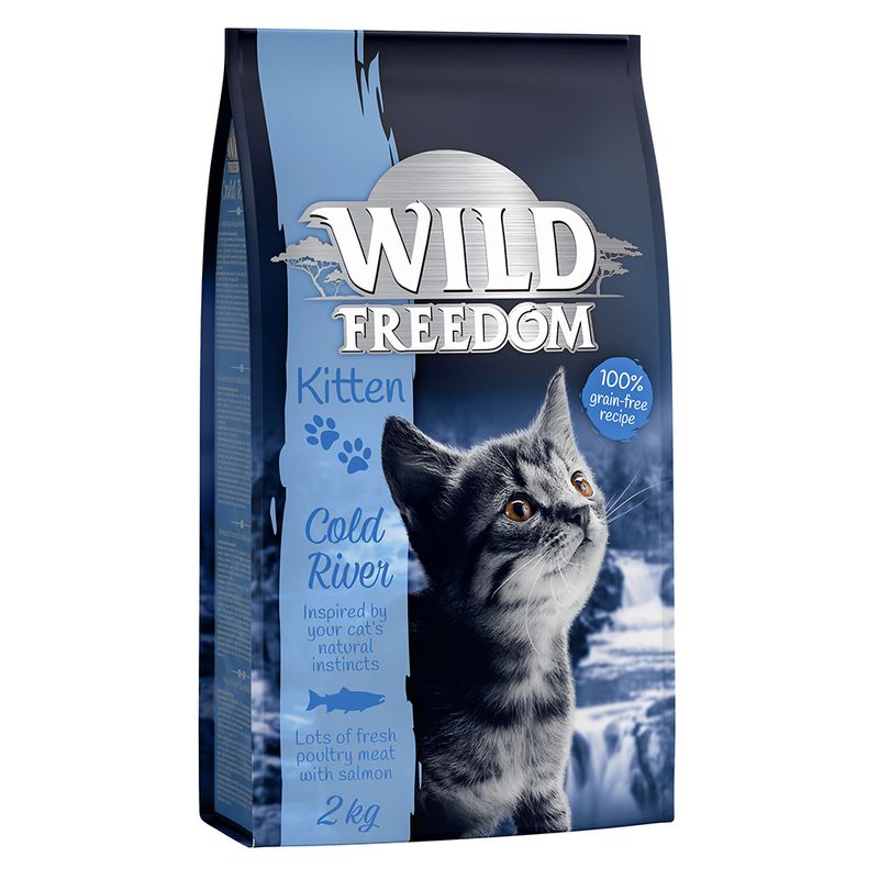 Wild Freedom Kitten \