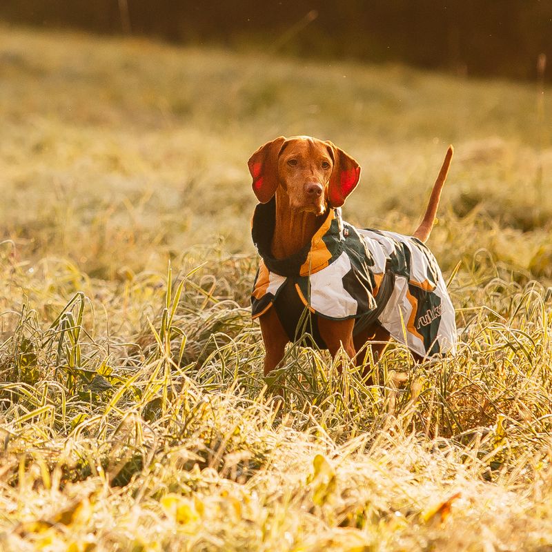 Rukka® Stormy Dog Coat - Camouflage approx. 43cm back length (Size 40)