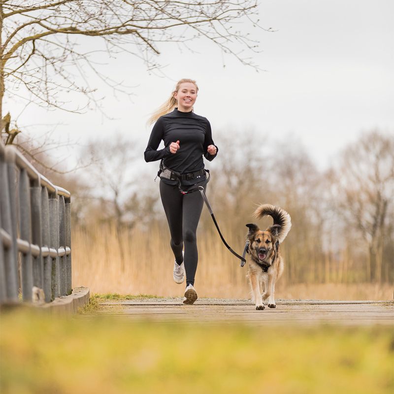Trixie Jogging Belt with Leash - Grey/ Black Belt: 70 – 130 cm, Leash: 115 – 150 cm / 20mm