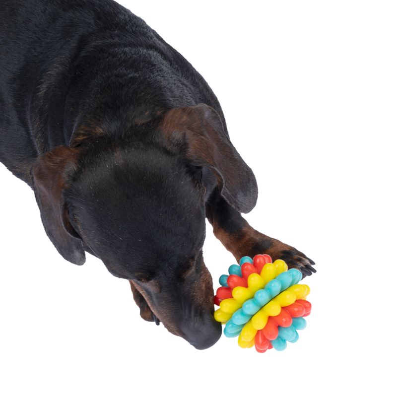 TIAKI Colourful TPR Chew Toy diameter 7.5cm