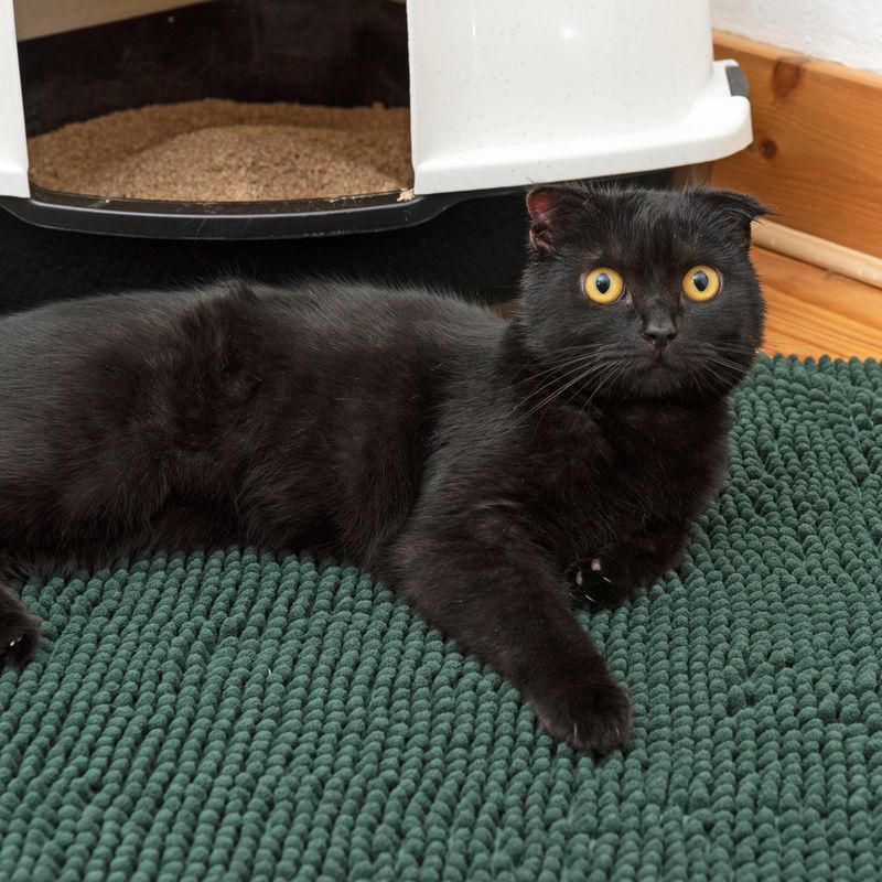 kooa Dirt-Trapping Mat Light Green