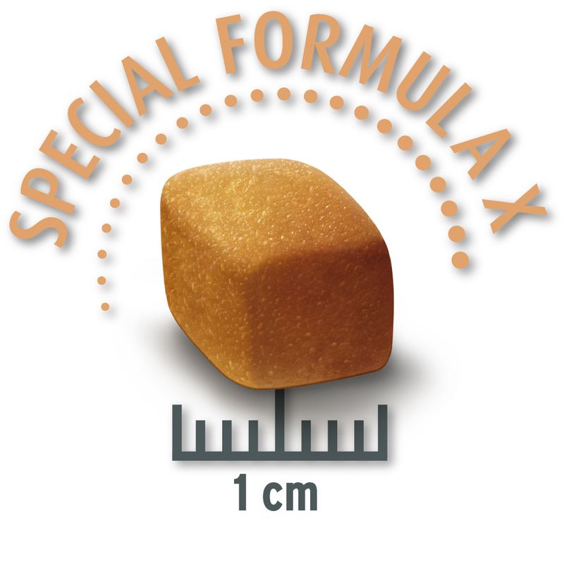 Concept for Life Economy Packs Labrador Sterilised (2 x 12kg)