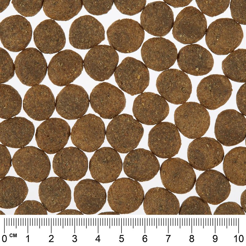 Greenwoods Economy Pack 2 x 12kg Turkey with Sweet Potatoes, Peas & Pumpkin