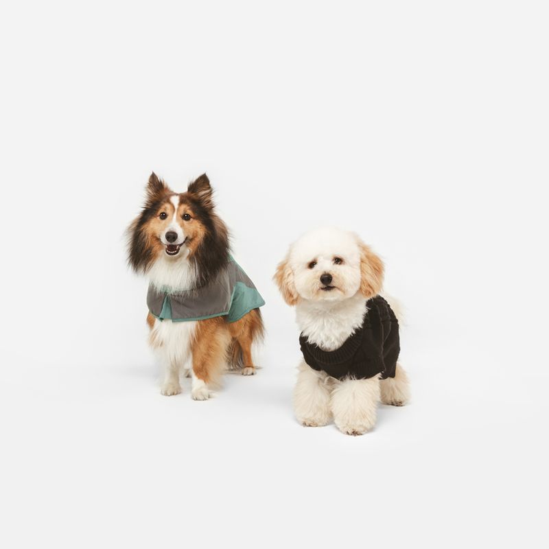 Nomad Tales Blush Dog Jumper - Ebony approx. 35cm Back Length