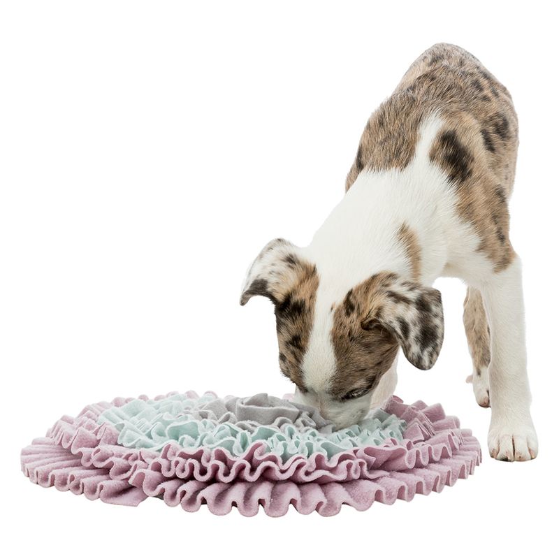 Trixie Junior Sniff and Search Mat Diameter 32cm