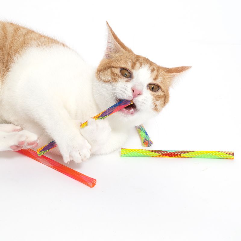 TIAKI Finger Trap Cat Toy Set Set of 4