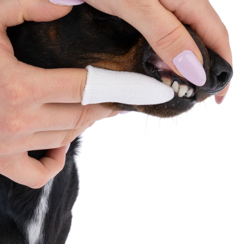 kooa Dental Care Fingers 10 Pieces