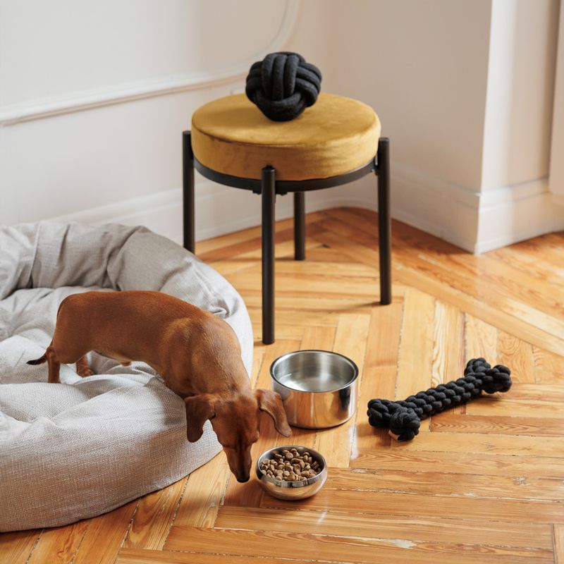 Modern Living Double-walled premium bowl Bayi 400 ml, diameter 13 cm