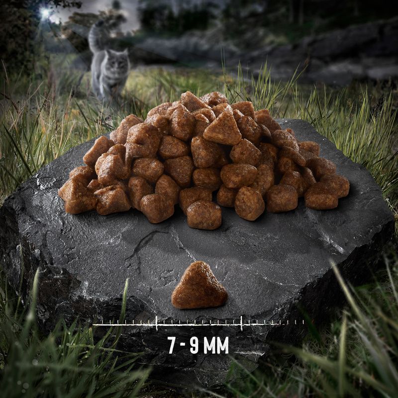 Wild Freedom Adult \