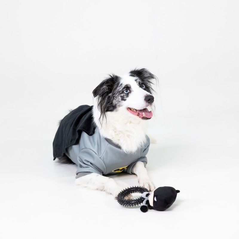 Warner Bros™ DC Batman Dog Costume Size S/M: 35cm Back Length