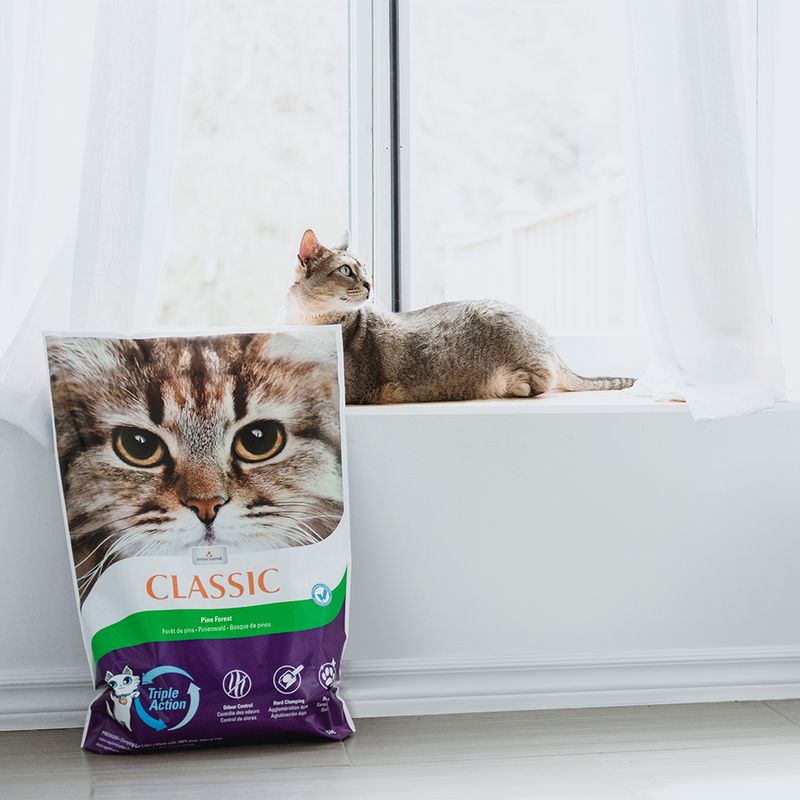 Intersand Classic Pine Forest Scented Cat Litter 14kg