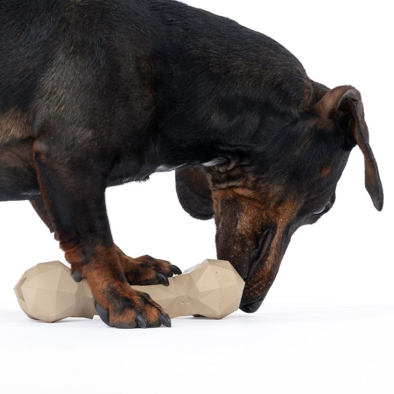 TIAKI Rubber Bone Dog Toy 16 x 7.5 x 4 cm