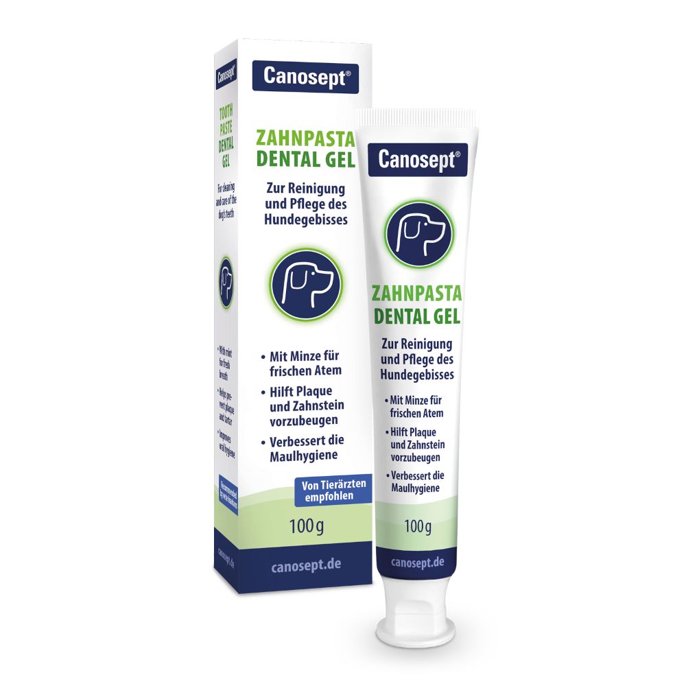 Canosept Dental Gel Toothpaste 100g