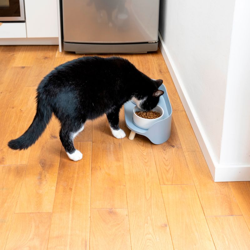 TIAKI Ceramic Bowl Duo 2 x 450 ml, diameter 12.5 cm