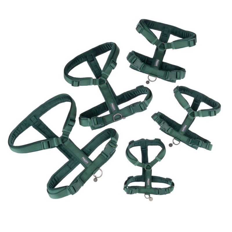 Nomad Tales Blush Harness - Emerald Size XS: 34 - 49 cm chest circumference, W 15 mm