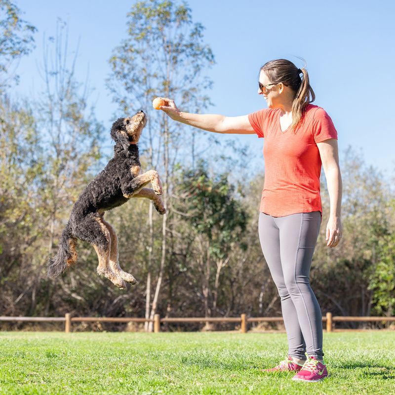 Chuckit! Birthday Fetch Ball 6.5 cm (W)