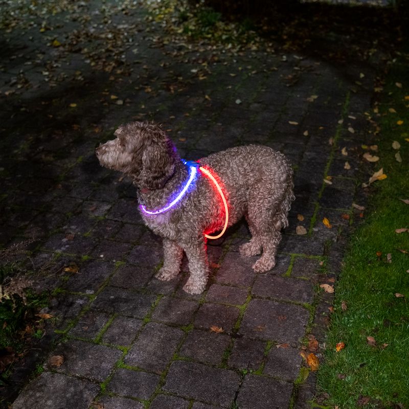 Nomad Tales Spirit USB LED Harness One Size: 90cm (max. Chest Circumference)