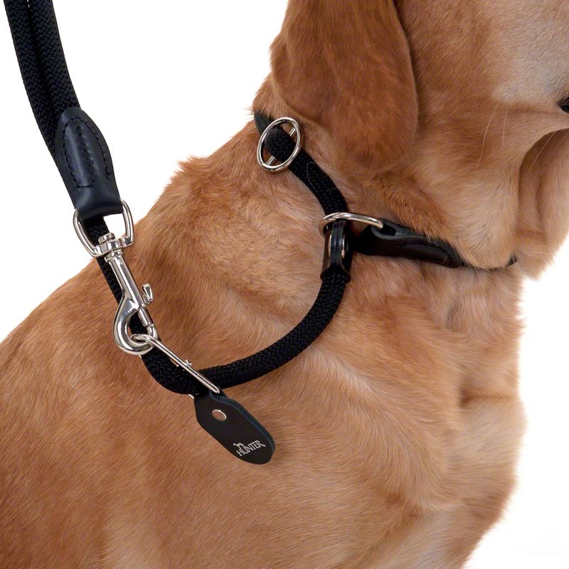 HUNTER Retriever Slip Lead - 260cm Black