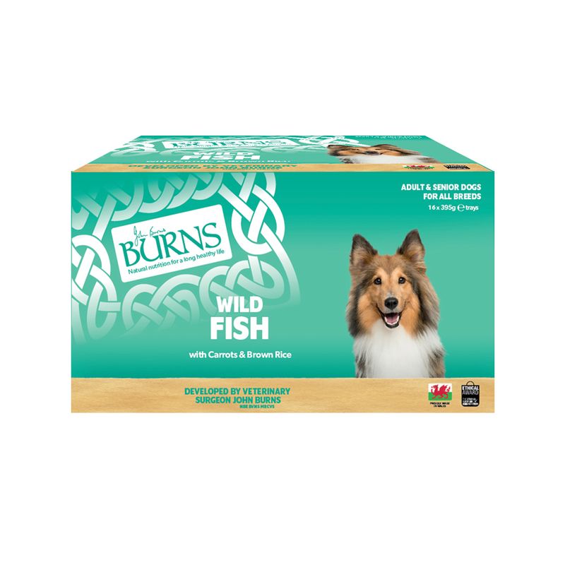 Burns Wet Food for Dogs 16 x 395g Chicken