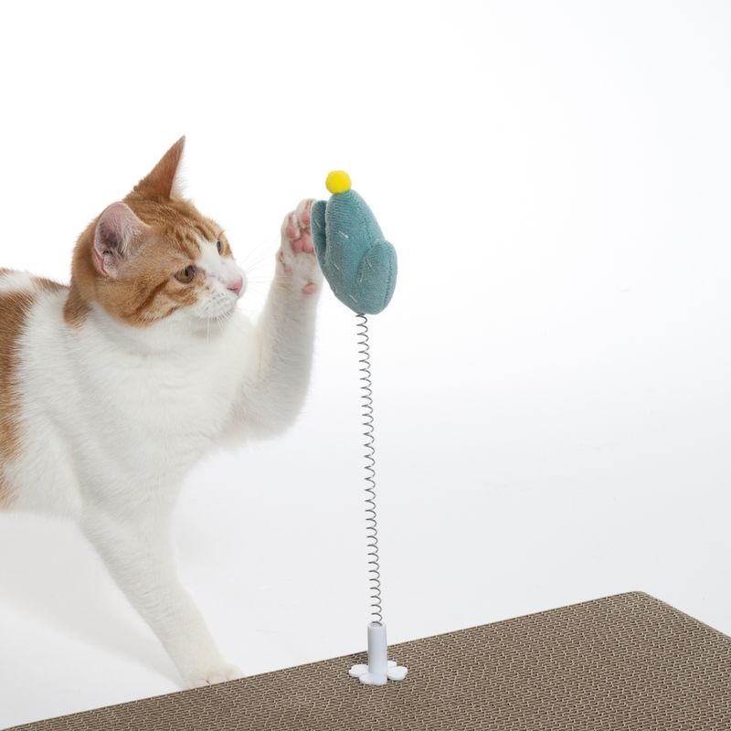 TIAKI Nature Cactus with Spring 1 Toy