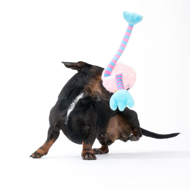 TIAKI Pink Chicken Long-Legs Dog Toy 30cm