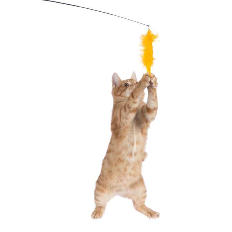 TIAKI Pompom Cat Dangler Toy with LED Pointer 1 Toy