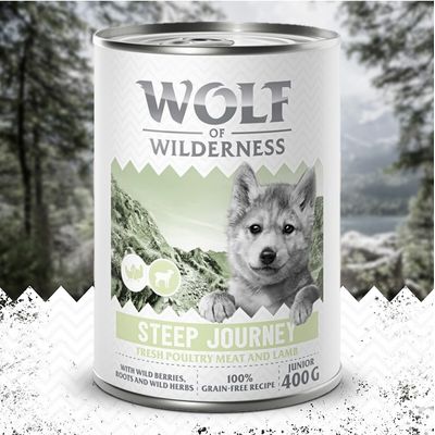 Wolf of Wilderness Junior \