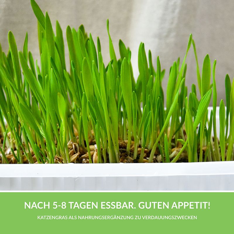 GimCat Hydro-Grass 150g