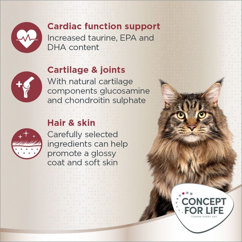 Concept for Life Maine Coon Adult Salmon - Grain-Free 400g