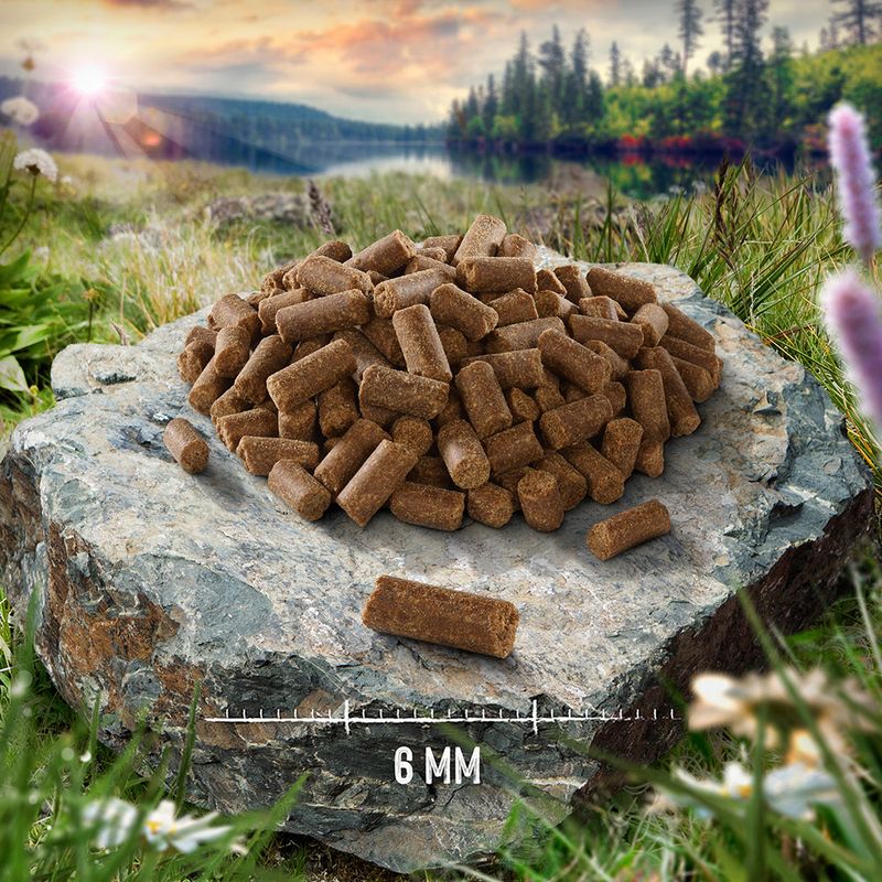 Purizon Cold-Pressed Turkey with Hemp Oil 400g