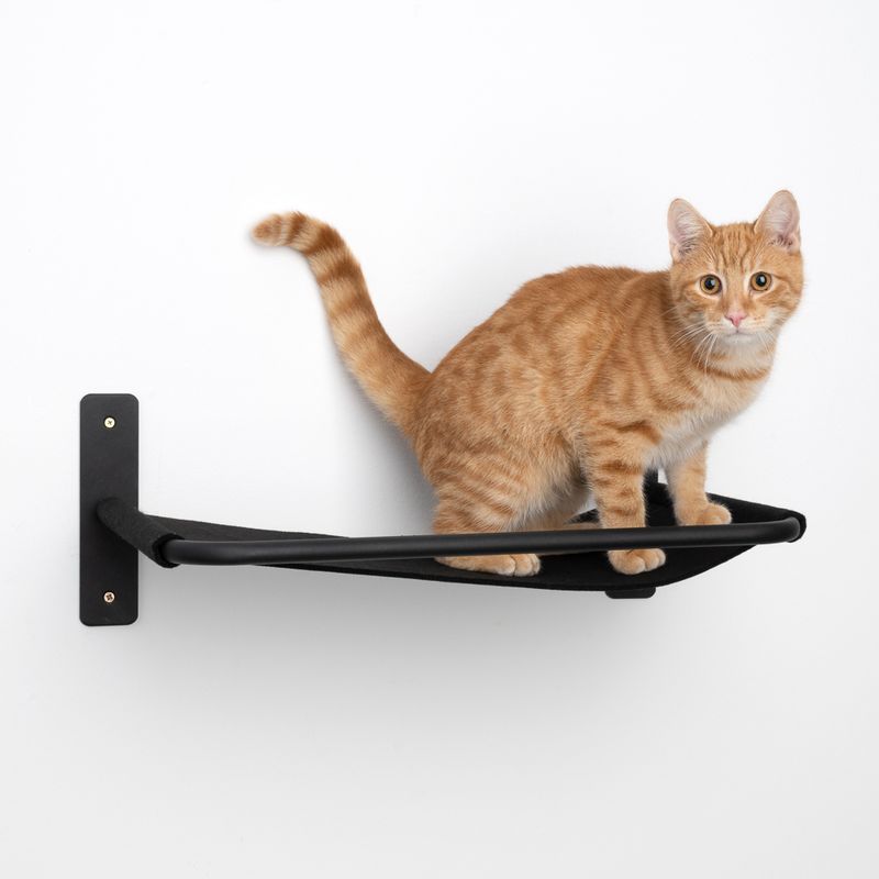 Modern Living Boston Wall Bed Black