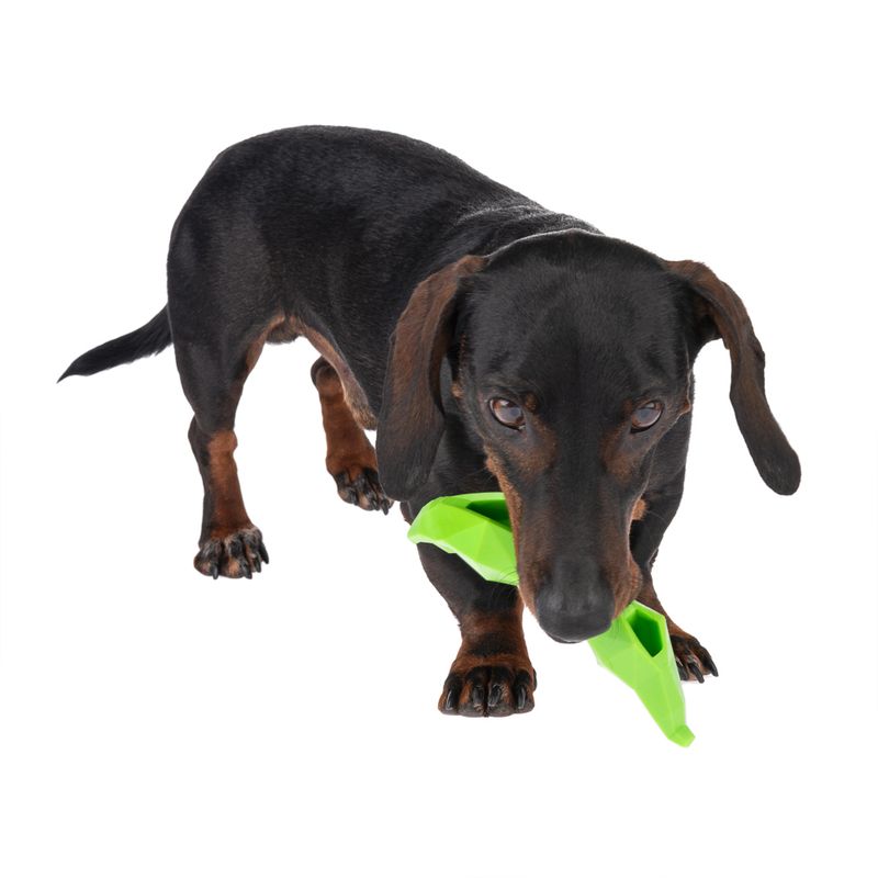 TIAKI Sniffing Toy Pea L 15.3 x W 4.5 x H 3.5 cm