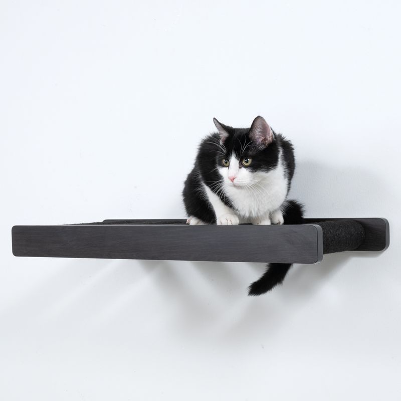 Modern Living San Francisco Scratching Ladder Black