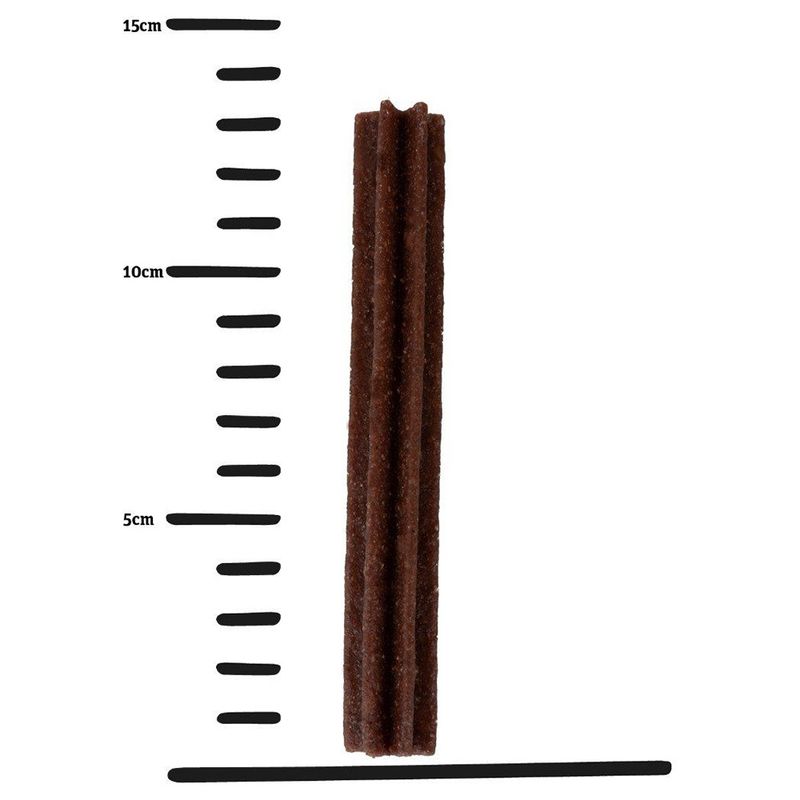 Green Petfood InsectDog Denties 180g