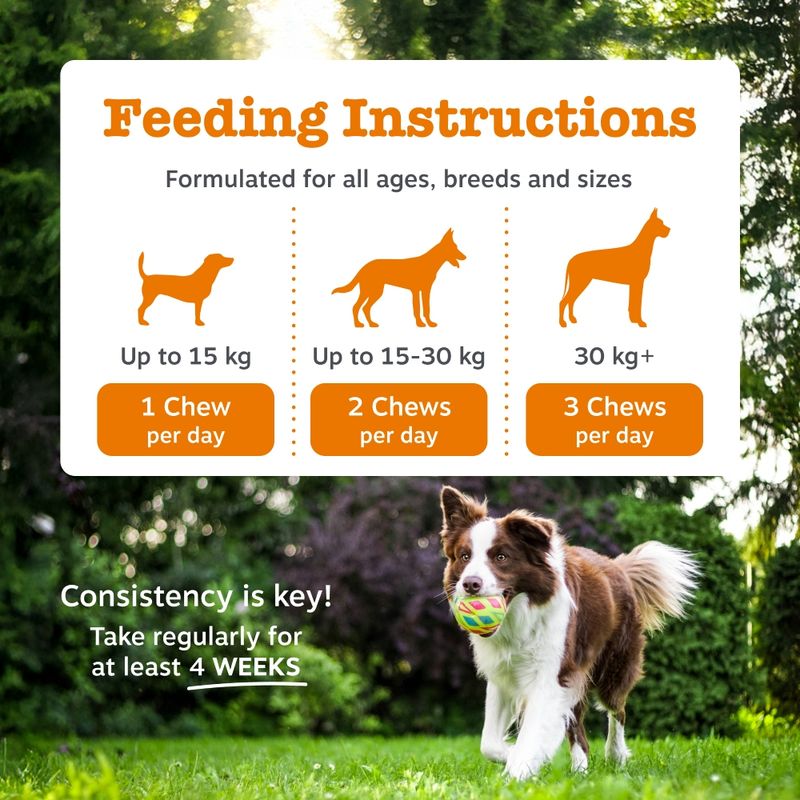 Zesty Paws Omega Skin & Coat Salmon 90 Chews