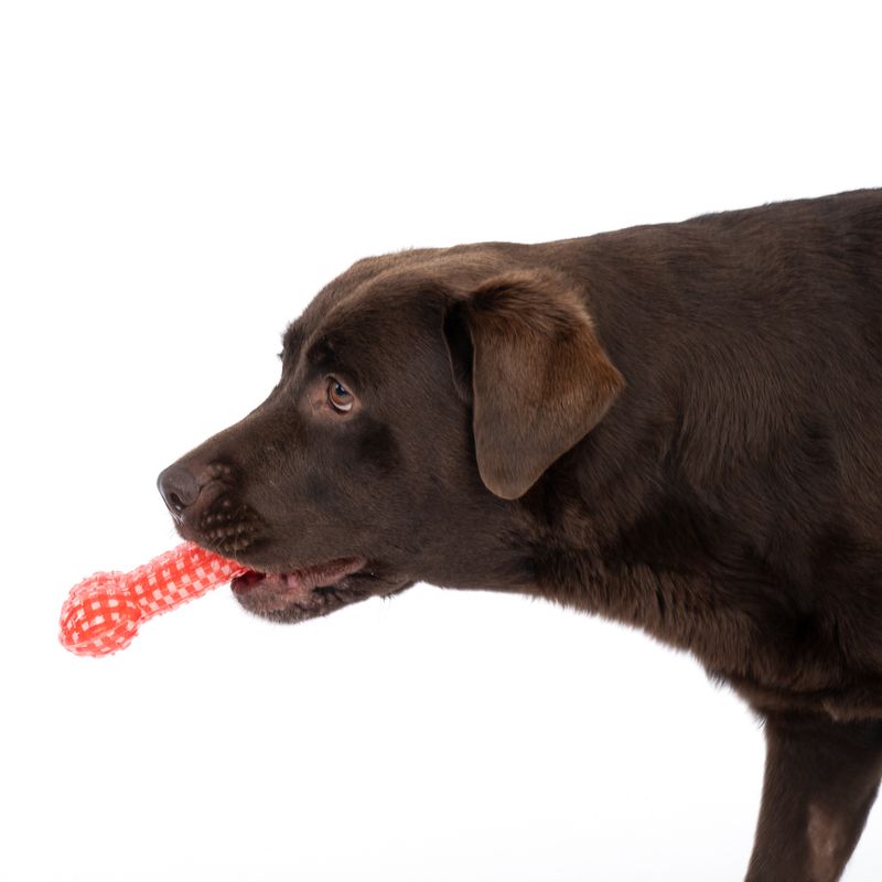 TIAKI TPR Bone Dog Toy 1 Toy