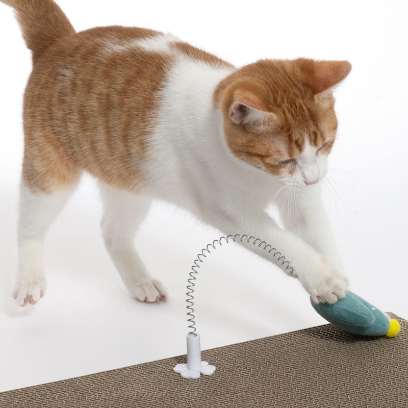 TIAKI Nature Cactus with Spring 1 Toy