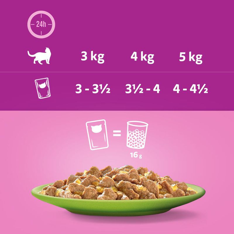 Whiskas 1+ Adult Pouches Saver Pack 48 x 85g Poultry Feasts in Jelly