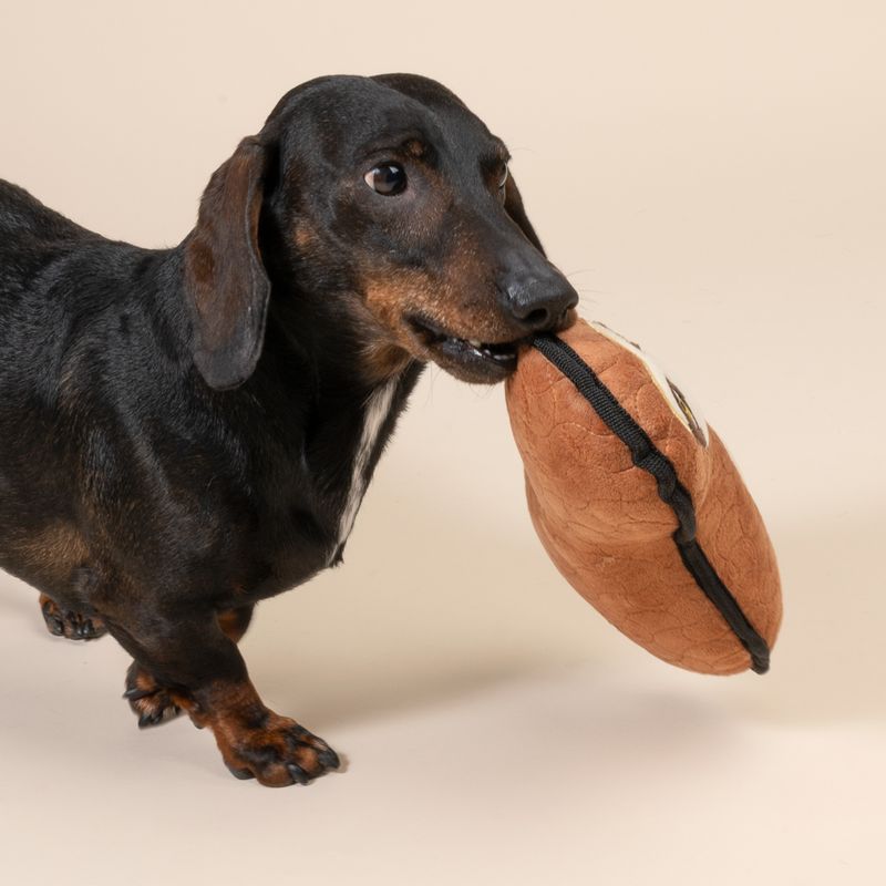 TIAKI Flat Sloth Dog Toy 29 x 18 x 9 cm (L x W x H)