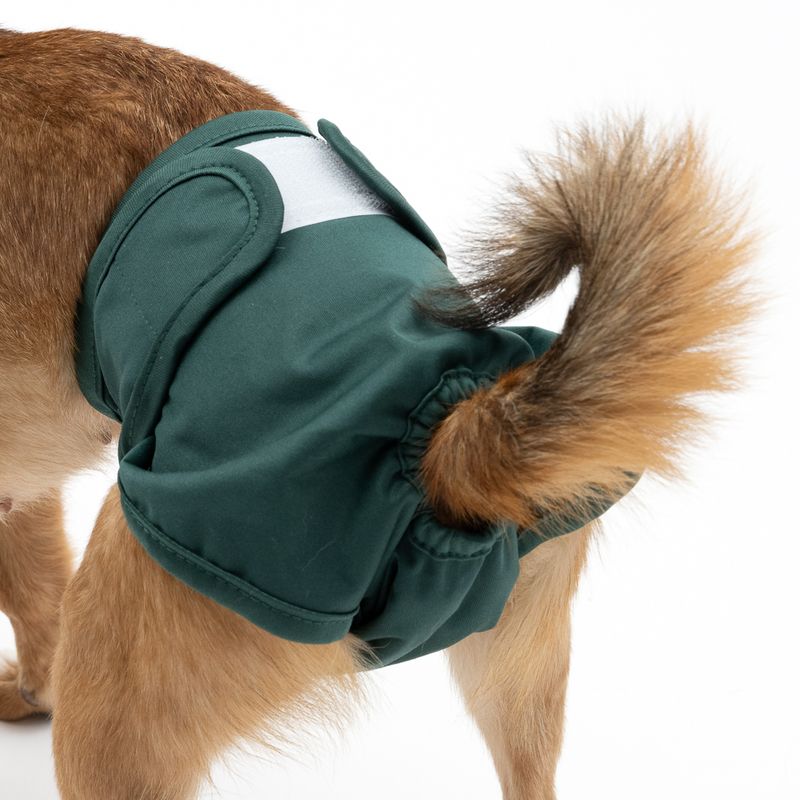 kooa Washable Nappy for Female Dogs Size XS