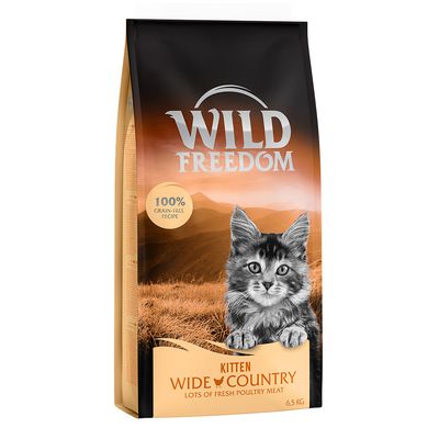 Wild Freedom Kitten \