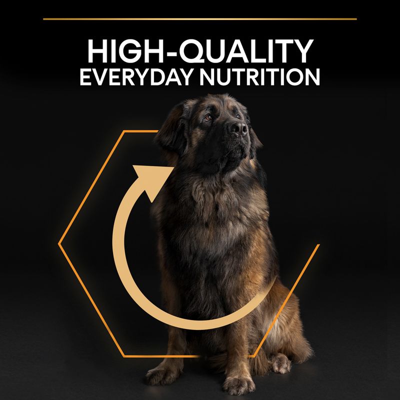PURINA PRO PLAN Large Robust Adult Everyday Nutrition 14kg