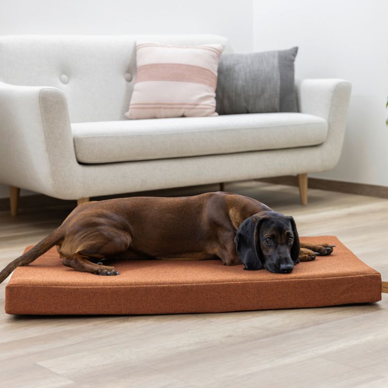 Kerbl Pet Memory Foam Mattress Oliver - Rust 50 x 80 x 8cm (L x W x H)