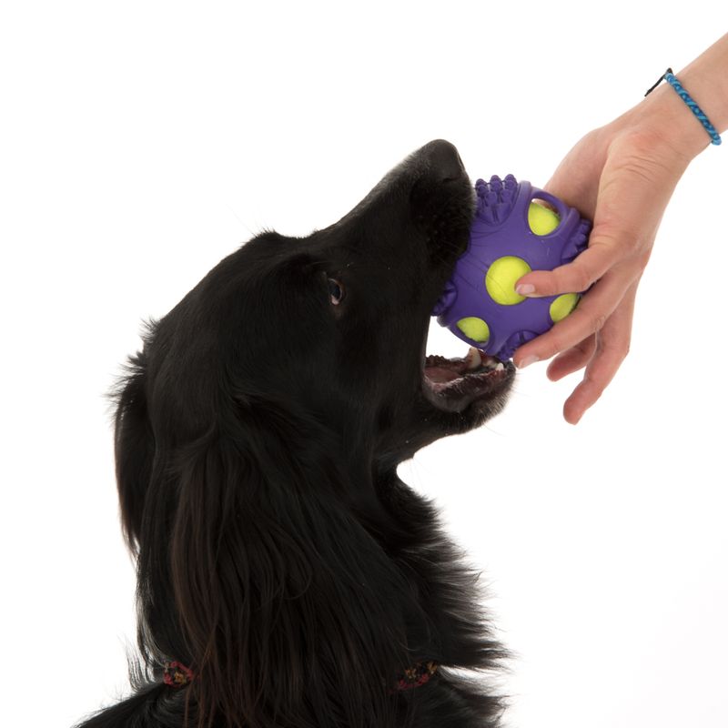 2-in-1 Rubber Tennis Ball Dog Toy L: Diameter 10cm