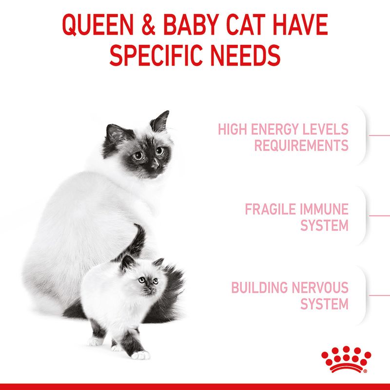 Royal Canin Mother & Babycat 400g