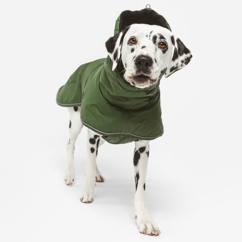 Nomad Tales Bloom Dog Coat - Classic approx. 40cm Back Length