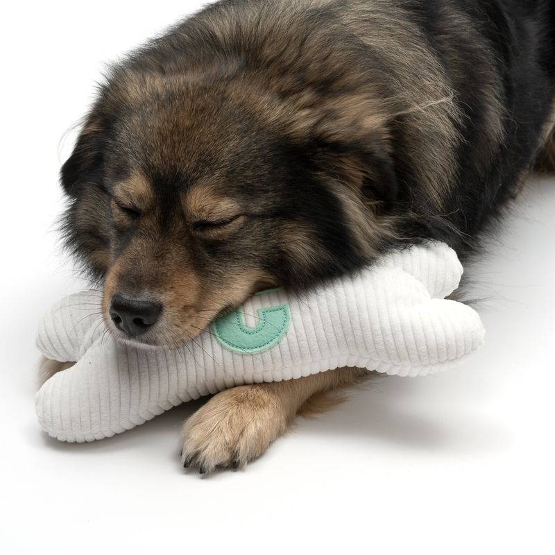TIAKI Plush Bone with C Initial 26 x 12 x 5.5cm (L x W x H)