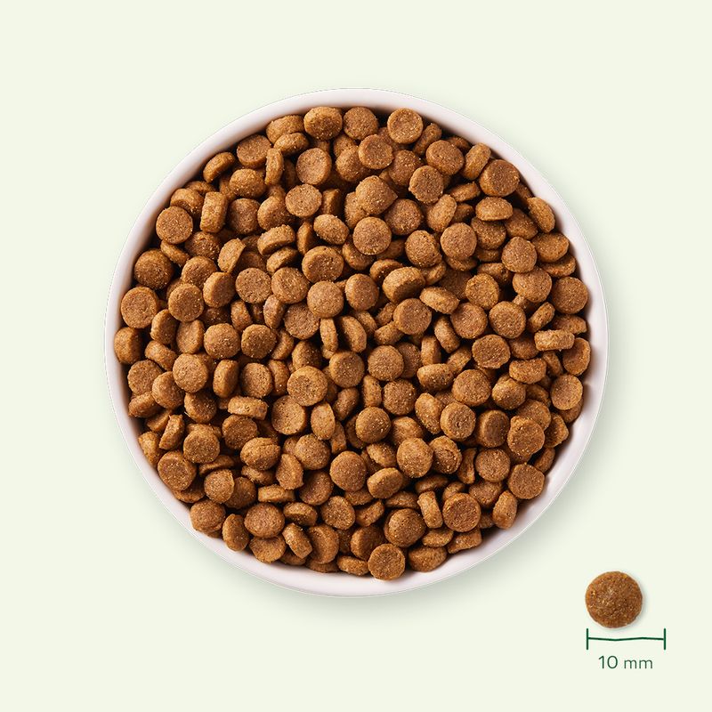 Yarrah Organic Puppy 2kg