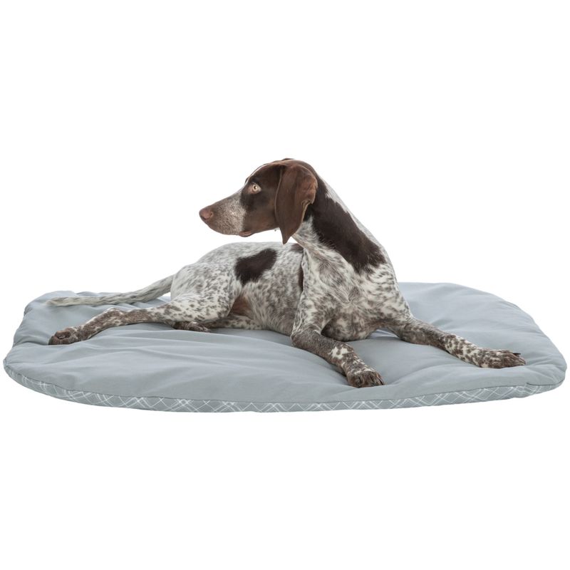 Trixie Cushion Jessie - Oval 50 x 40cm (L x W)